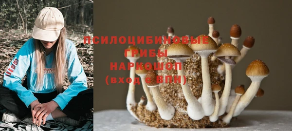 гашик Бронницы