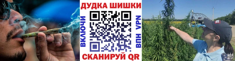 Канабис планчик  продажа наркотиков  Нытва 